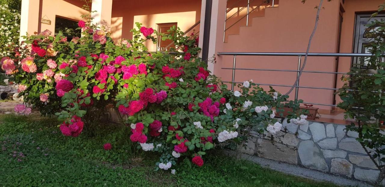 Villa Persik Утьеха Экстерьер фото